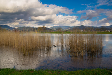 See in Berhaupten im Kinzigtal im Schwarzwald