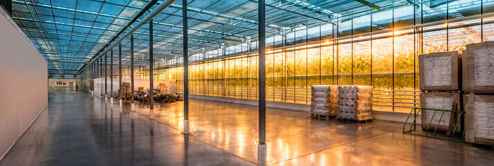 Beautiful and large-scale greenhouses.