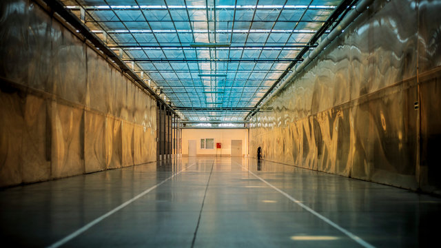 Beautiful and large-scale greenhouses.