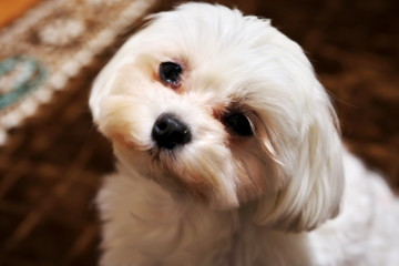 そろそろ食事でしょ