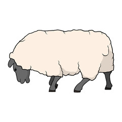 Sheep. One of the symbols of farm, country and village. Template for icon, sticker or part of garland. Vector illustration.