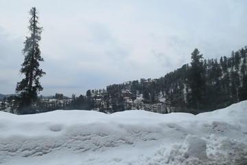 Beautiful view of snow covered trees, mountains and cloudy sky