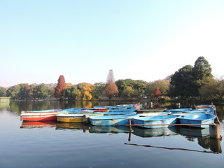 Naklejka premium boats on the lake