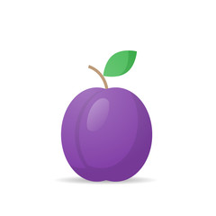 fresh juicy plum icon tasty ripe fruit isolated on white background healthy food concept vector illustration