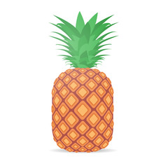 fresh juicy pineapple icon tasty ripe fruit isolated on white background healthy food concept vector illustration
