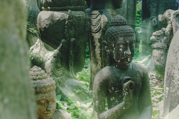 Fototapeta na wymiar Buddha Statues hidden in leaves of tropical jungle, with mist in the morning ,selective focus