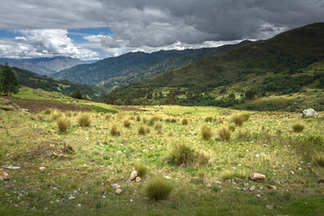 Fototapeta na wymiar Landscape with Ichu plants at the border between croplands and highlands in Suni and Puna region in Peru
