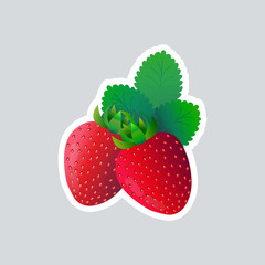 fresh juicy strawberry icon tasty ripe fruit sticker healthy food concept vector illustration