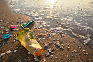 Beach environment