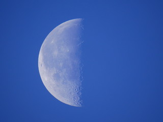 moon in the sky