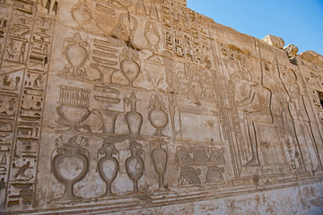 Hieroglyphic carvings on an ancient egyptian temple wall
