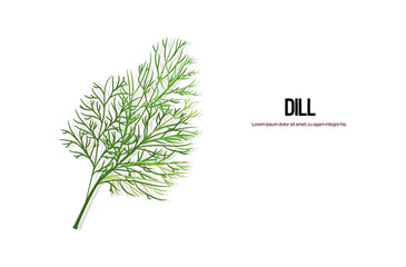 realistic dill twig tasty fresh green leaves healthy food concept horizontal copy space vector illustration