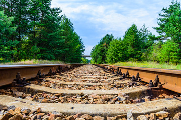 Old railroad in forest on summer