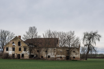 alte muehle und baeume