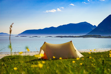 Tent on beach sea shore, Lofoten Norway