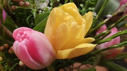 bouquet of tulips