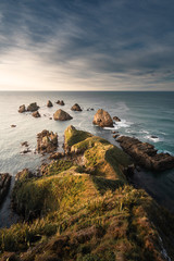 View to the rocky islets, the Nuggets,  at the nugget point in the morning, Catlin coast, south island, New Zealand