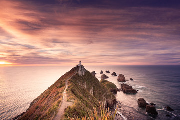 Morning sunrise at nugget point lighthouse. Famous attraction in Catlin coast, Otago, South Island, New Zealand.