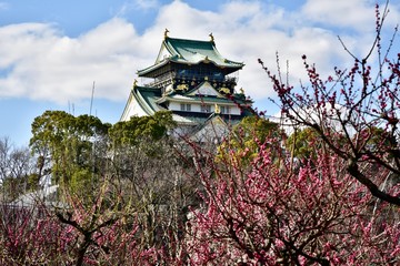 Naklejka premium 梅の花と大越坂城
