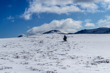 Bieszczady zimą połoniny