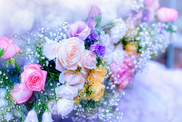 Closeup image of beautiful flowers wall background with amazing red and white roses Retro filter.