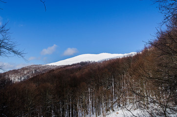 Bieszczady zimą 