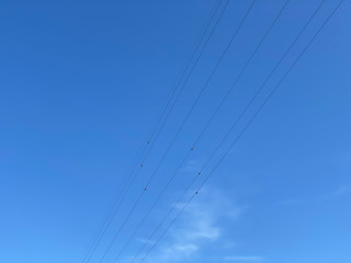 Japanese blue sky and electric wires.