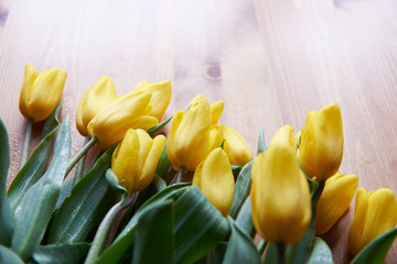 Obraz premium yellow tulips on rustic, wooden background