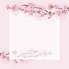 Delicate Sakura branches with pink flowers and buds and a square frame.