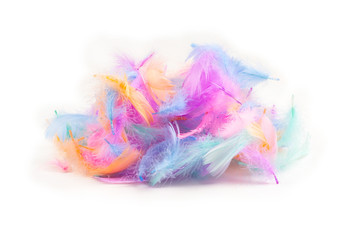 Colorful feather background, isolated on white.