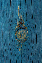 Close up detail shot of wood knot with hard resin residue in a weathered blue piece of wood/timber