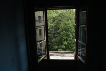Fototapeta premium view of a window