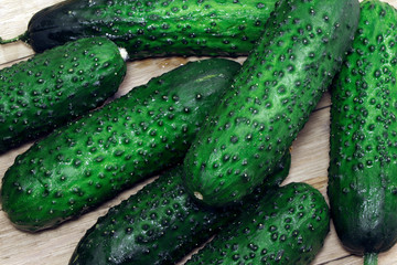 Cucumbers on a wooden table. Healthy, vegetarian food. Natural food.Vegetables on a table. Flat lay.