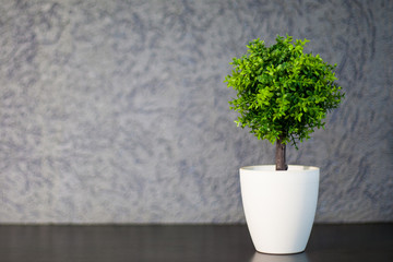 Artificial tree in a white pot on a gray texture background