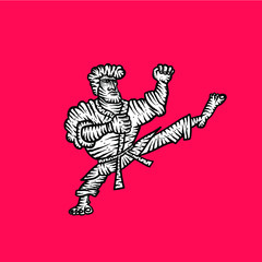 Fototapeta premium Karate. Martial arts. Vector illustration