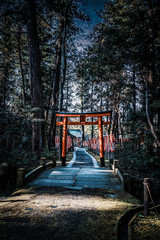 Fototapeta na wymiar 滋賀県、多賀大社の境内社 金咲稲荷大明神の鳥居と参道の風景