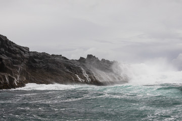 Wild Bruny Island