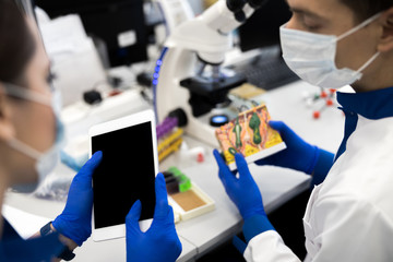 Researchers using digital tablet and anatomical model in lab