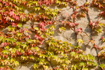 walking in the area aorund Hanover