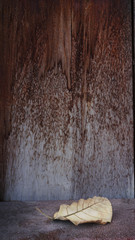Rainwater stain . Background and texture It is abstract art style