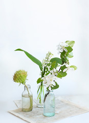 Spring flowers in bottles. blossom spring season concept. minimal composition. copy space