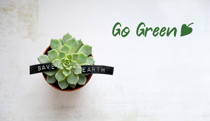 save earth. Go green. succulent plant in pot. earth day minimal concept. Green environment, gardening, love earth, green world concept
