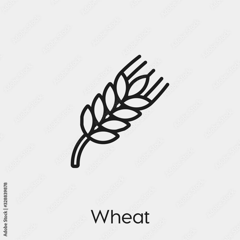 Poster wheat icon vector. linear style sign for mobile concept and web design. grain symbol illustration. p
