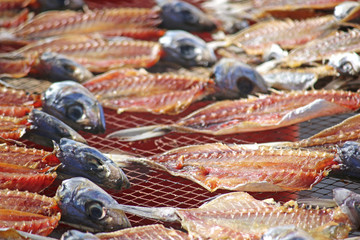 Drying Fish on Nazare Beach, Portugal	