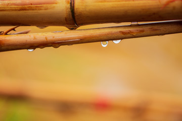 Water drop on brown wooden.