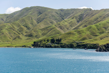 little green bay, Queen Charlotte Sound, New Zealand