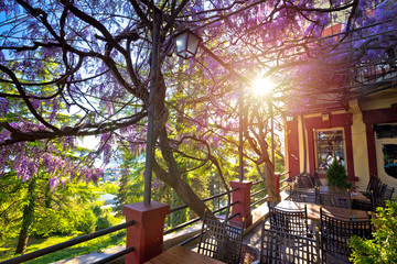 Fototapety na wymiar - Fototapeta24.pl