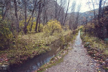 rio y sendero