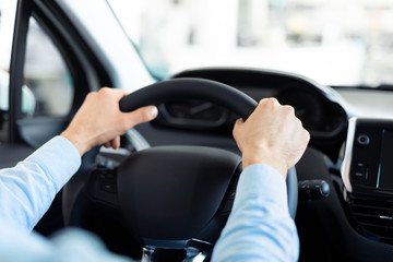 Man Holding Steering Wheel Sitting In Auto