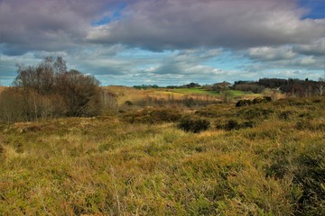 Lande de la Flotte et du Cluzeau (Haute-Vienne)